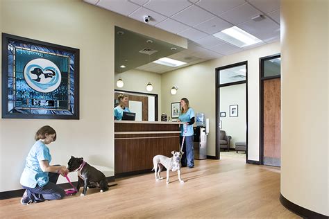 Top Ways CareCredit Can Enhance Veterinary Patient Care and Ensure Pet Wellbeing