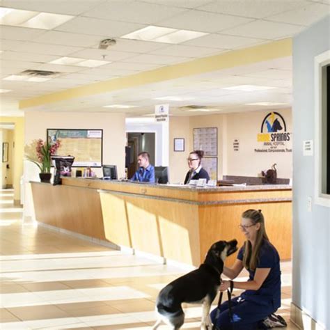 Top Ways CareCredit Can Enhance Veterinary Patient Care and Ensure Pet Wellbeing