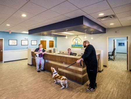 Top Ways CareCredit Can Enhance Veterinary Patient Care and Ensure Pet Wellbeing