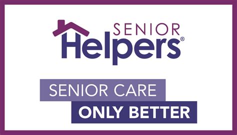 Comprehensive Senior Care Tips: Enhancing Quality of Life for Elderly Pets