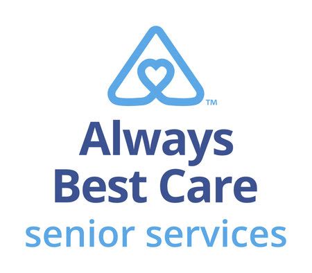 Comprehensive Senior Care Tips: Enhancing Quality of Life for Elderly Pets