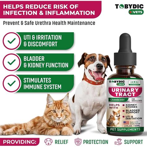 Comprehensive Guide to Arnica Tablets for Pets: Natural Pain Relief, Healing Benefits, and Safe Usage Tips for Furry Companions