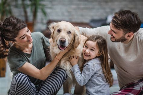 Top Nausea Medications for Pets: Comprehensive Guide to Safe and Effective Treatments to Keep Your Furry Friends Comfortable and Healthy