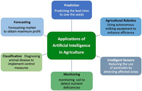 Quantitative Research in Veterinary Medicine: Analyzing Data-Driven Insights for Advanced Pet Care and Treatment Innovations