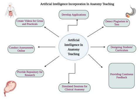 Unlocking the Future of Veterinary Care: The Role of Evidence-Based Practice in Advancing Pet Health and Treatment Outcomes