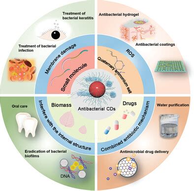 Understanding ORCID in Veterinary Medicine: How This Researcher Identifier Enhances Collaboration and Streamlines Scientific Contributions